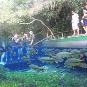 Aquário Natural – Flutuação