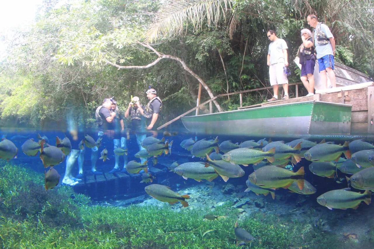 aquario-natural-2_Easy-Resize.com-1