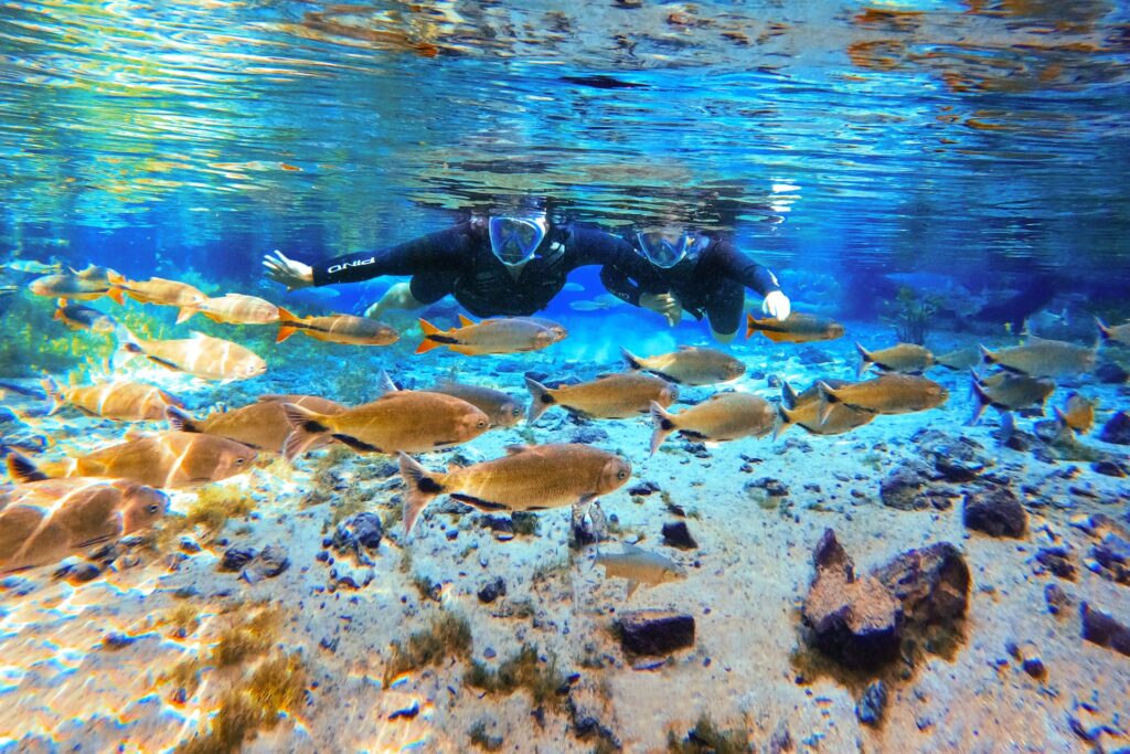 flutuacao nascente azul bonito ms aguas cristalinas