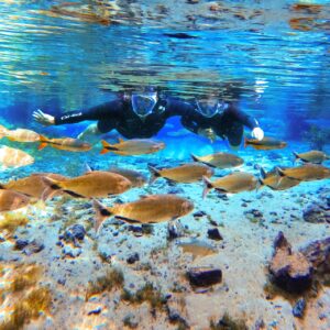 Nascente Azul – Flutuação